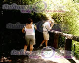 Tourists Enjoying the Mosi-Oa-Tunya view